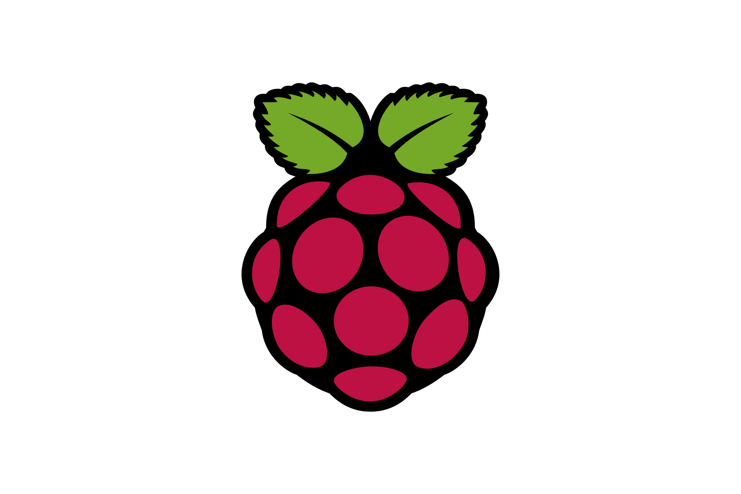 Raspberry_Pi-Logo.wine